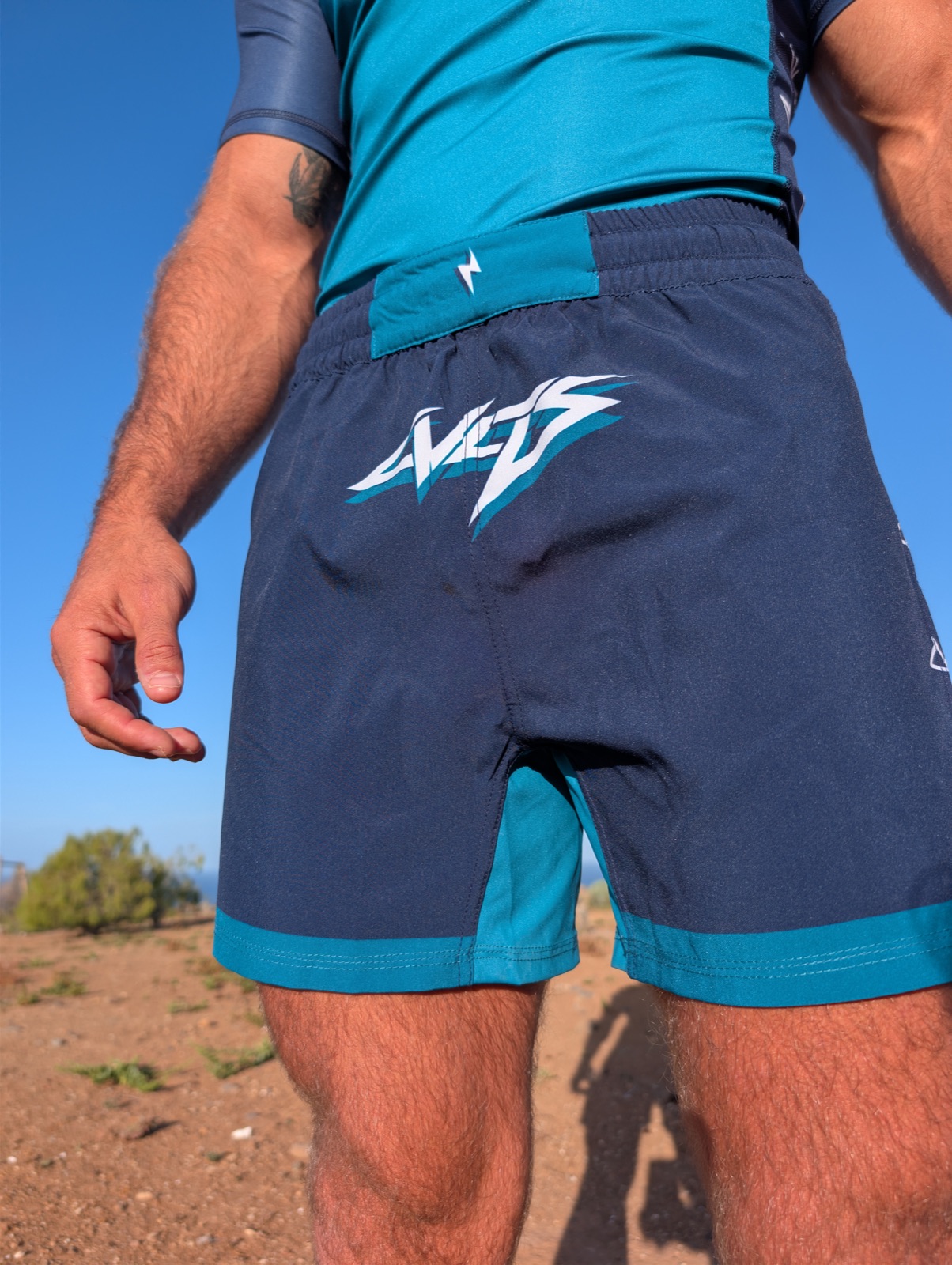 90s Bolt shorts worn, front