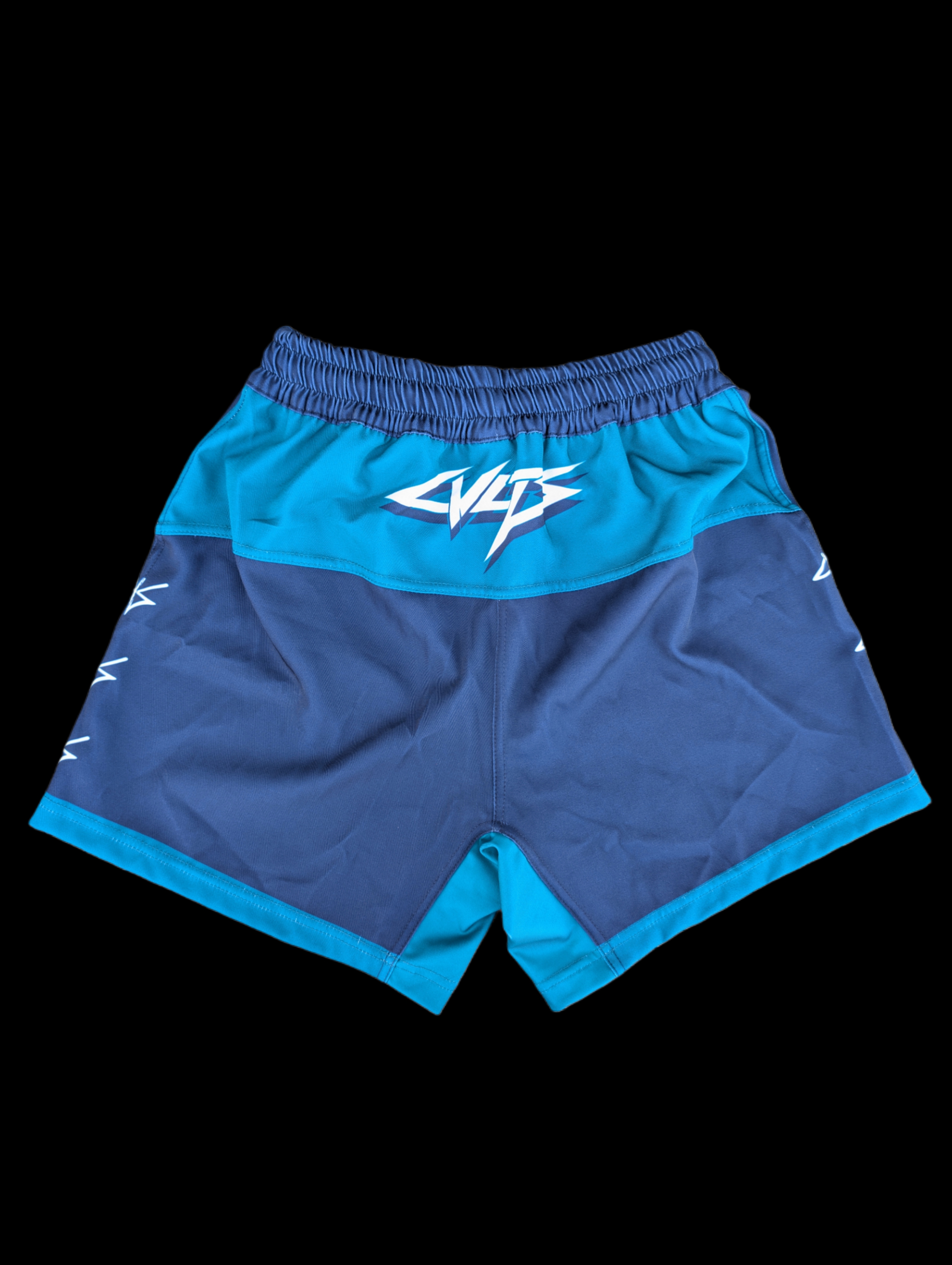 90s Bolt Shorts back