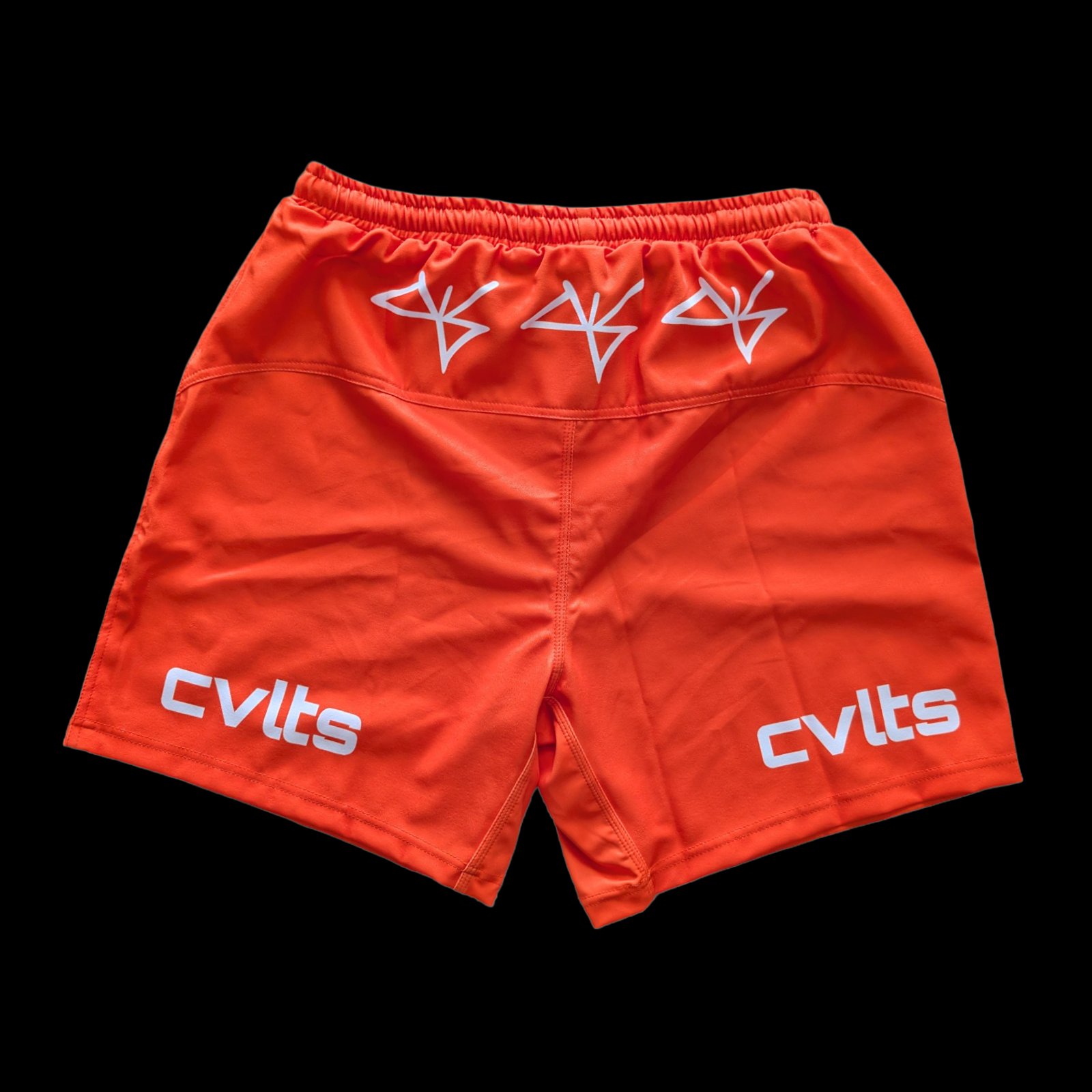 Standard Issue Orange Shorts back