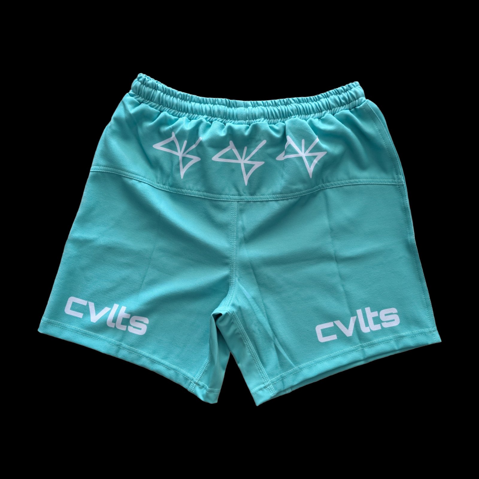 Standard Issue Teal Shorts back