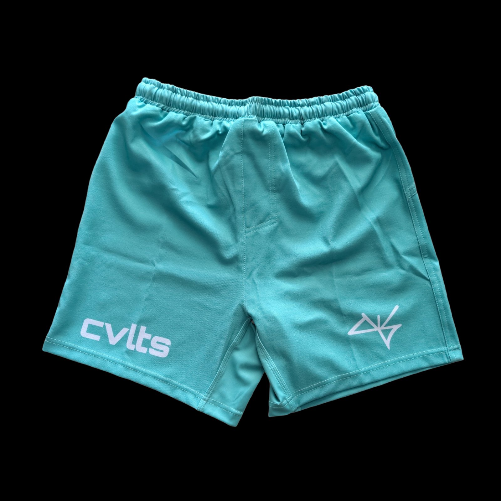 Standard Issue Teal Shorts front